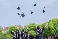 湖南省高等教育自学考试停考专业及停止办证专业列表