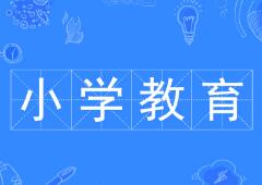 湖南师范大学自考专科小学教育专业2023年10月自考报考单元计划表